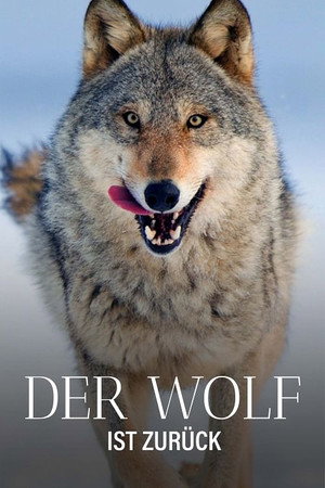 Wolf poszter