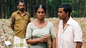 සැමීගේ කතාව háttérkép