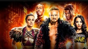 NXT Vengeance Day 2024 háttérkép