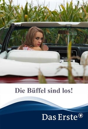 Die Büffel sind los!