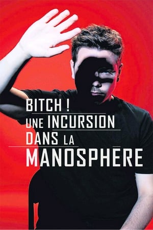 Bitch! Une incursion dans la manosphère poszter