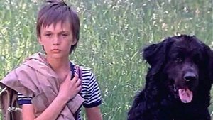 Каждый охотник желает знать háttérkép