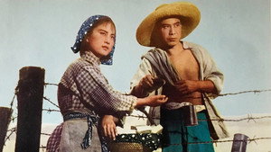 渡江侦察记 háttérkép