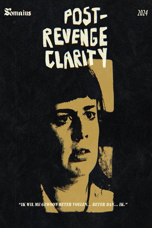 Post-Revenge Clarity poszter