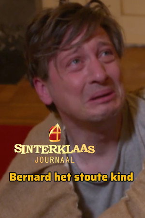 Sinterklaasjournaal