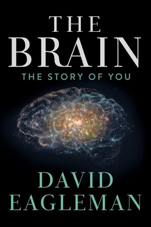 The Brain with David Eagleman