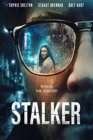 Stalker poszter