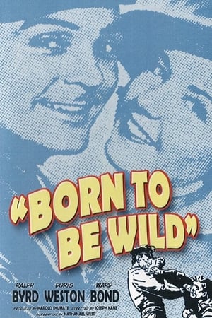 Born to Be Wild poszter