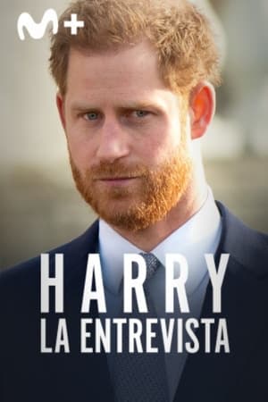 Harry − Az interjú poszter