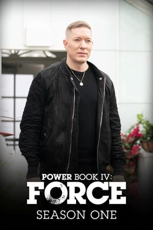 Power Book IV: Force poszter