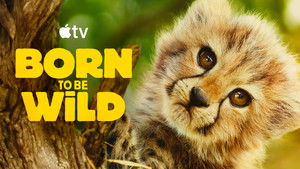 Born to Be Wild kép