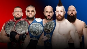 WWE Survivor Series 2018 háttérkép