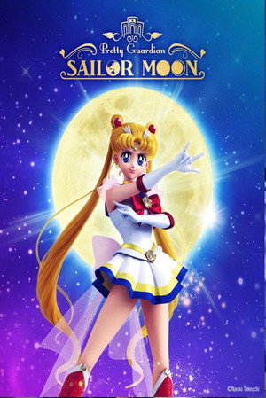 Pretty Guardian Sailor Moon the Miracle: Moon Palace Chapter Deluxe