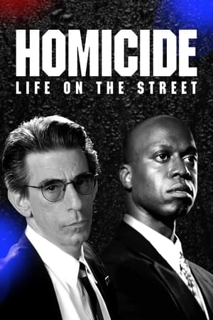 Homicide: Life on the Street poszter