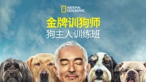 Cesar Millan: Jó gazdi, jó kutya kép