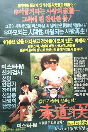 적도의 꽃 poszter