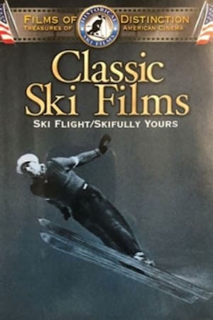 Ski Flight poszter