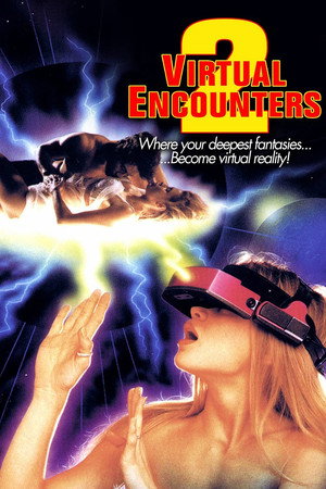 Virtual Encounters 2 poszter