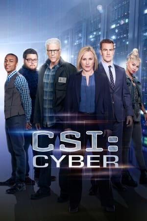 CSI: Cyber helyszínelők poszter