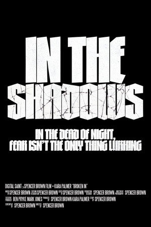 In The Shadows poszter