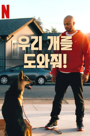 CALI K9 - Nincs reménytelen kutya poszter