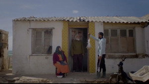 Halima háttérkép