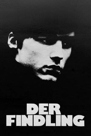 Der Findling poszter