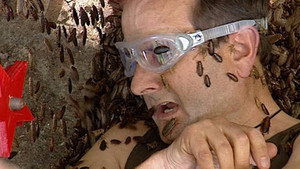 I'm a Celebrity...Get Me Out of Here! Season 8 Ep.7 7. epizód