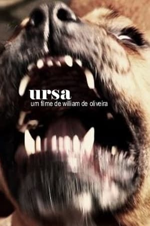 Ursa poszter