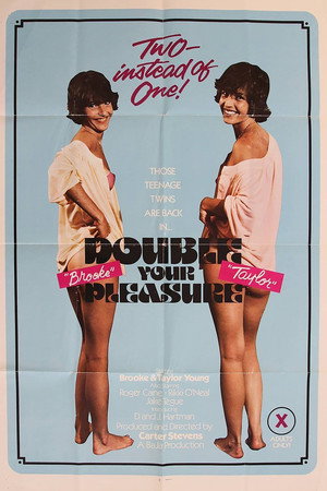 Double Your Pleasure poszter