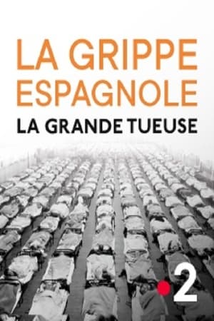 La Grippe espagnole : La grande tueuse poszter