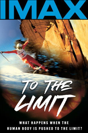 To The Limit poszter