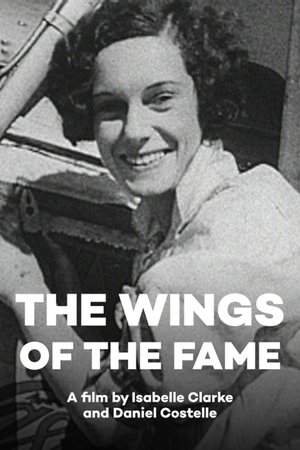 Les Ailes des héros poszter