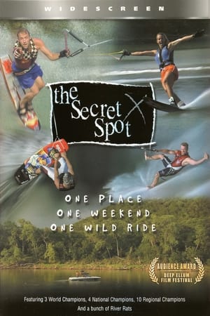 The Secret Spot poszter