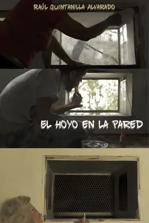 Un hoyo en la pared