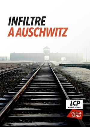 Infiltré à Auschwitz poszter