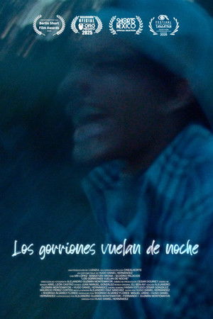 Los gorriones vuelan de noche poszter