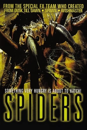 Spiders poszter