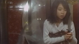 天使のはらわた 赤い閃光 háttérkép
