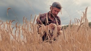 Zöld forradalom: A jövő farmjai kép