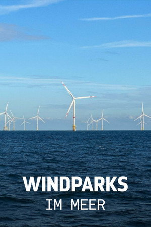 Windparks im Meer - Chance oder Risiko für die Natur?