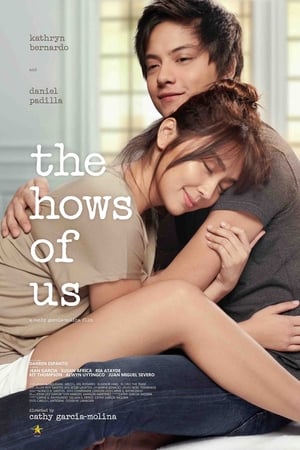 The Hows of Us poszter