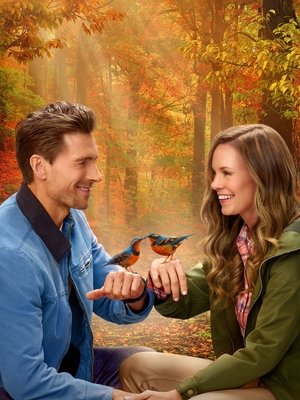 Adventures in Love & Birding poszter