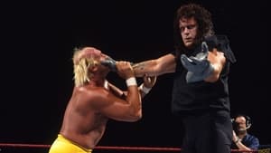 WWE Survivor Series 1991 háttérkép