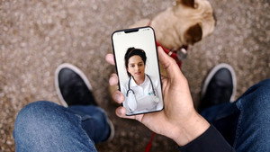 Votre santé, un trésor très convoité háttérkép