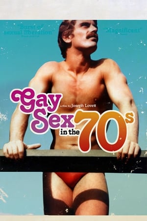 Gay Sex in the 70s poszter