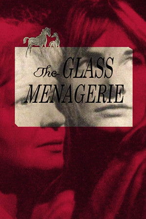 The Glass Menagerie poszter