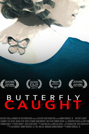 Butterfly Caught poszter