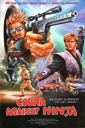 Cobra Against Ninja poszter