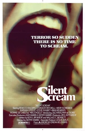 Silent Scream poszter